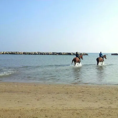 Casa La Rosa Bianca Apartament